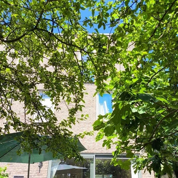 Foto van de Kamer gelegen aan de Veldruskade in Vleuten