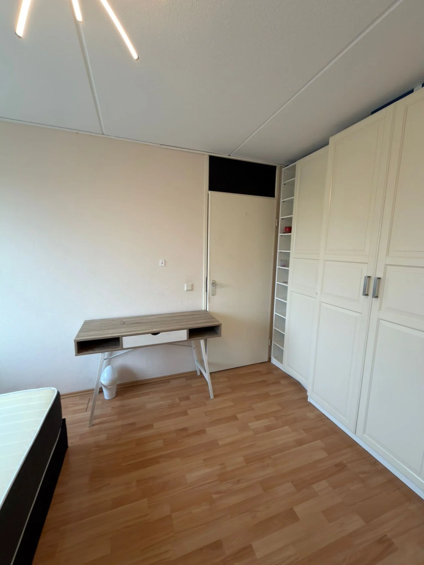 Foto van de Kamer gelegen aan de Reina Prinsen Geerligsdreef in Hoofddorp