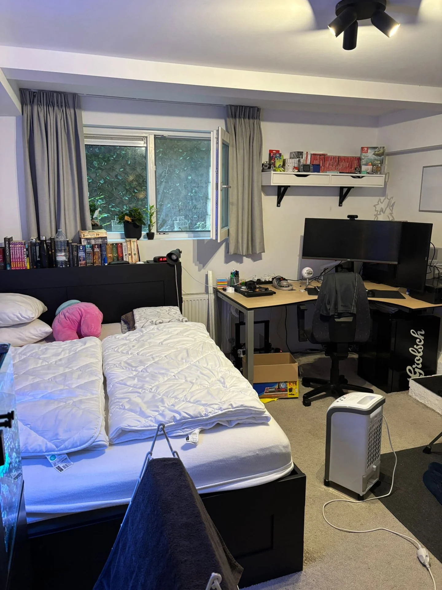 geblurde versie van de foto als achtergrond