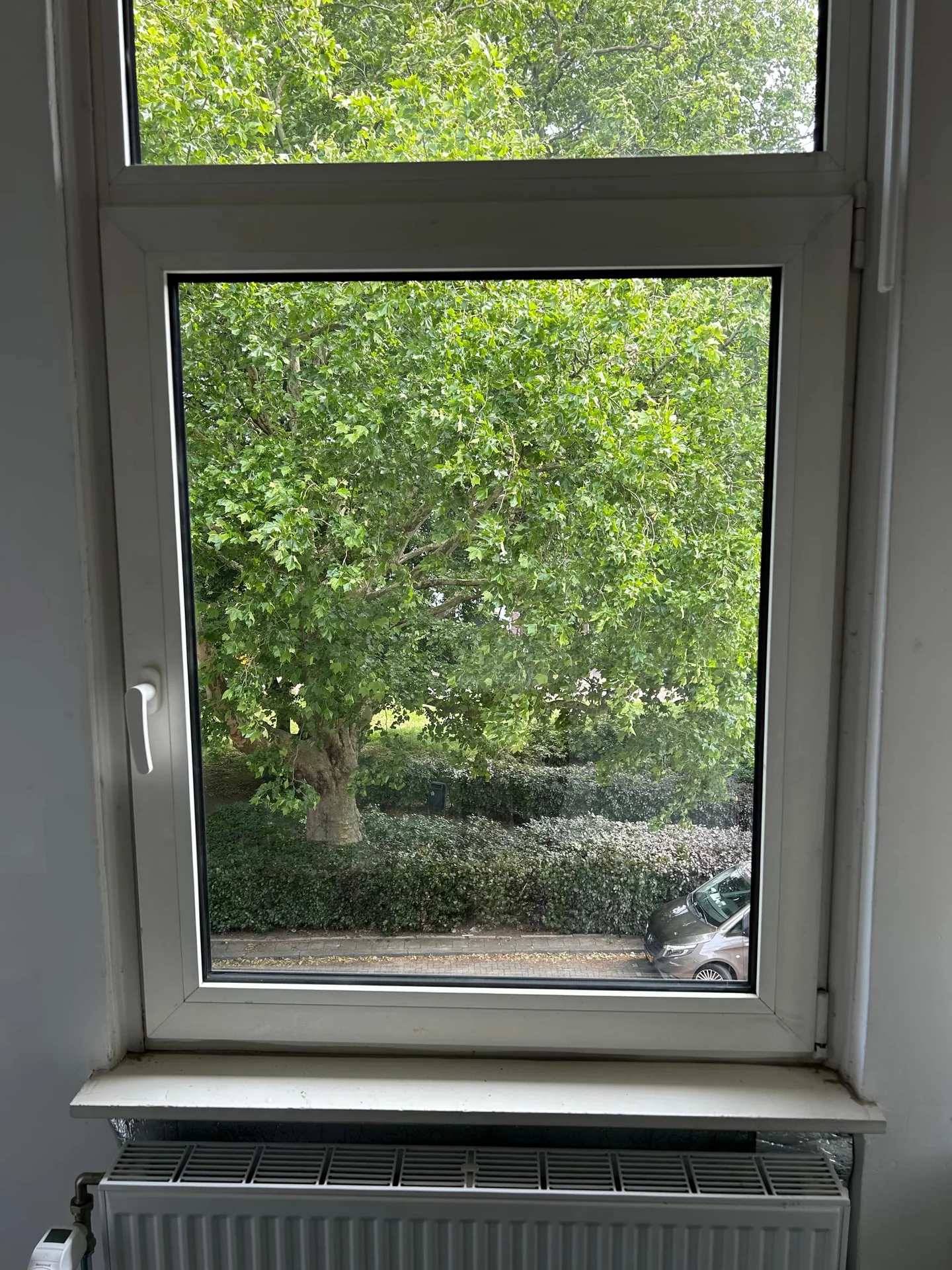 Foto van de Kamer gelegen aan de Lange Nieuwstraat in Schiedam