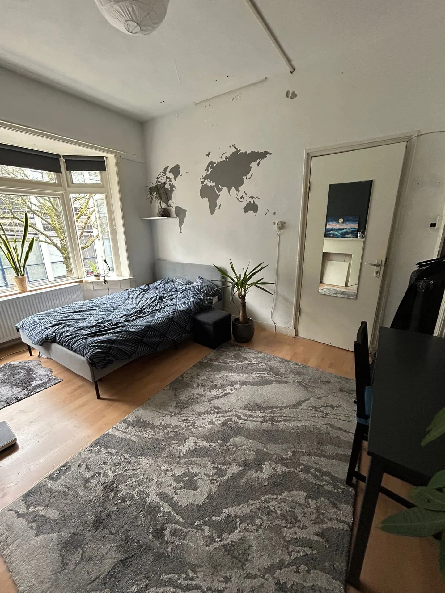 geblurde versie van de foto als achtergrond