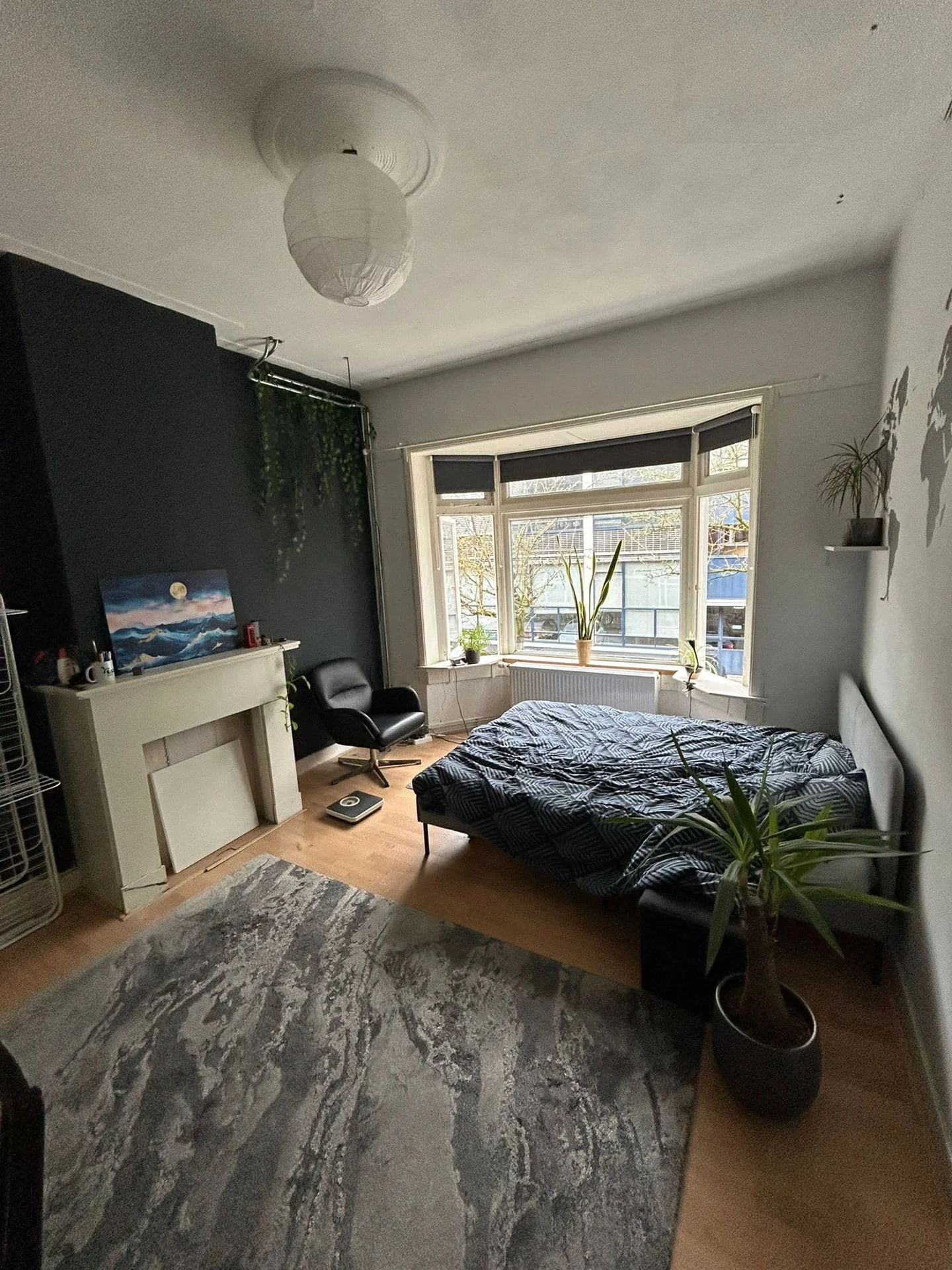 geblurde versie van de foto als achtergrond