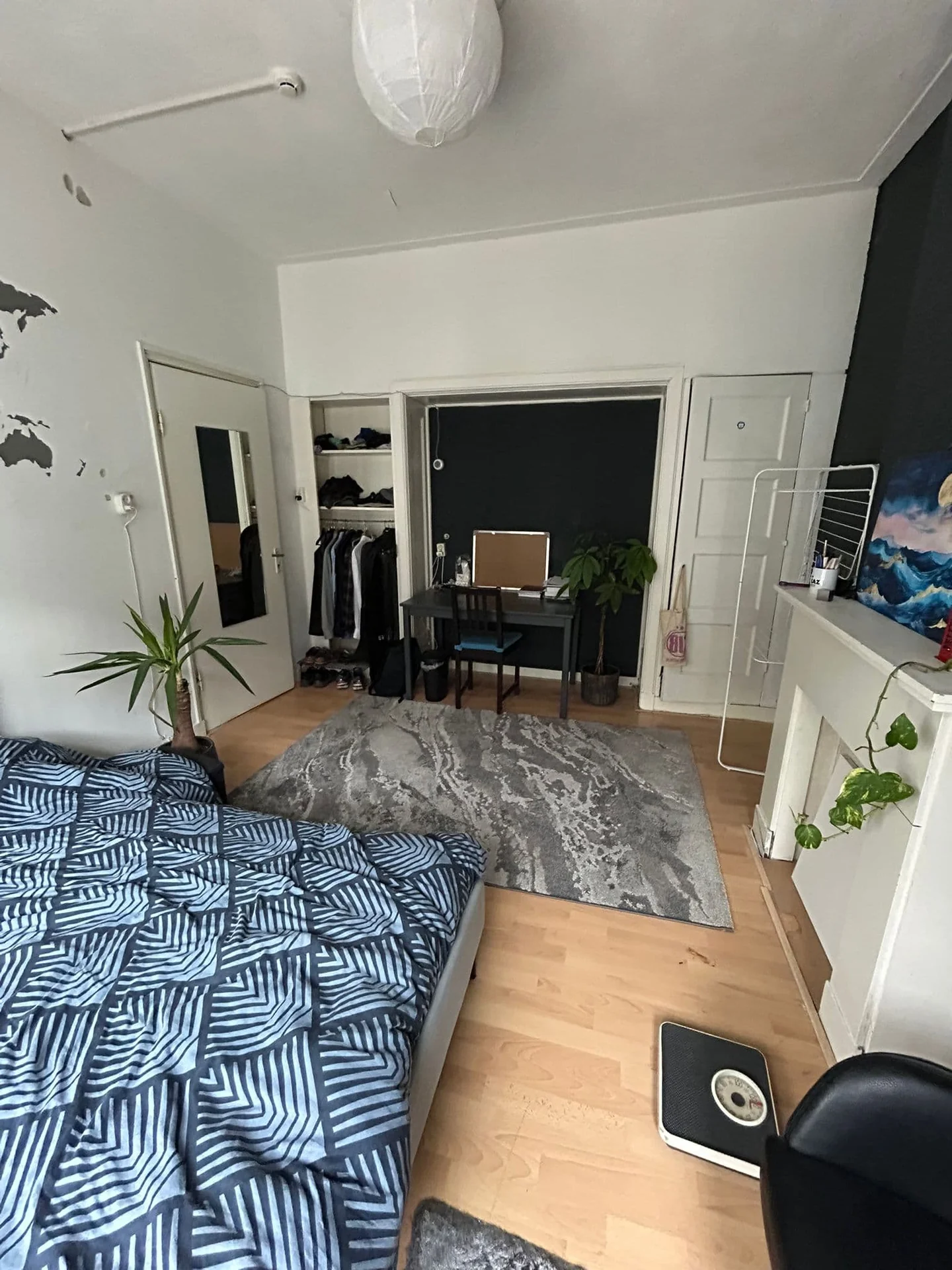 geblurde versie van de foto als achtergrond