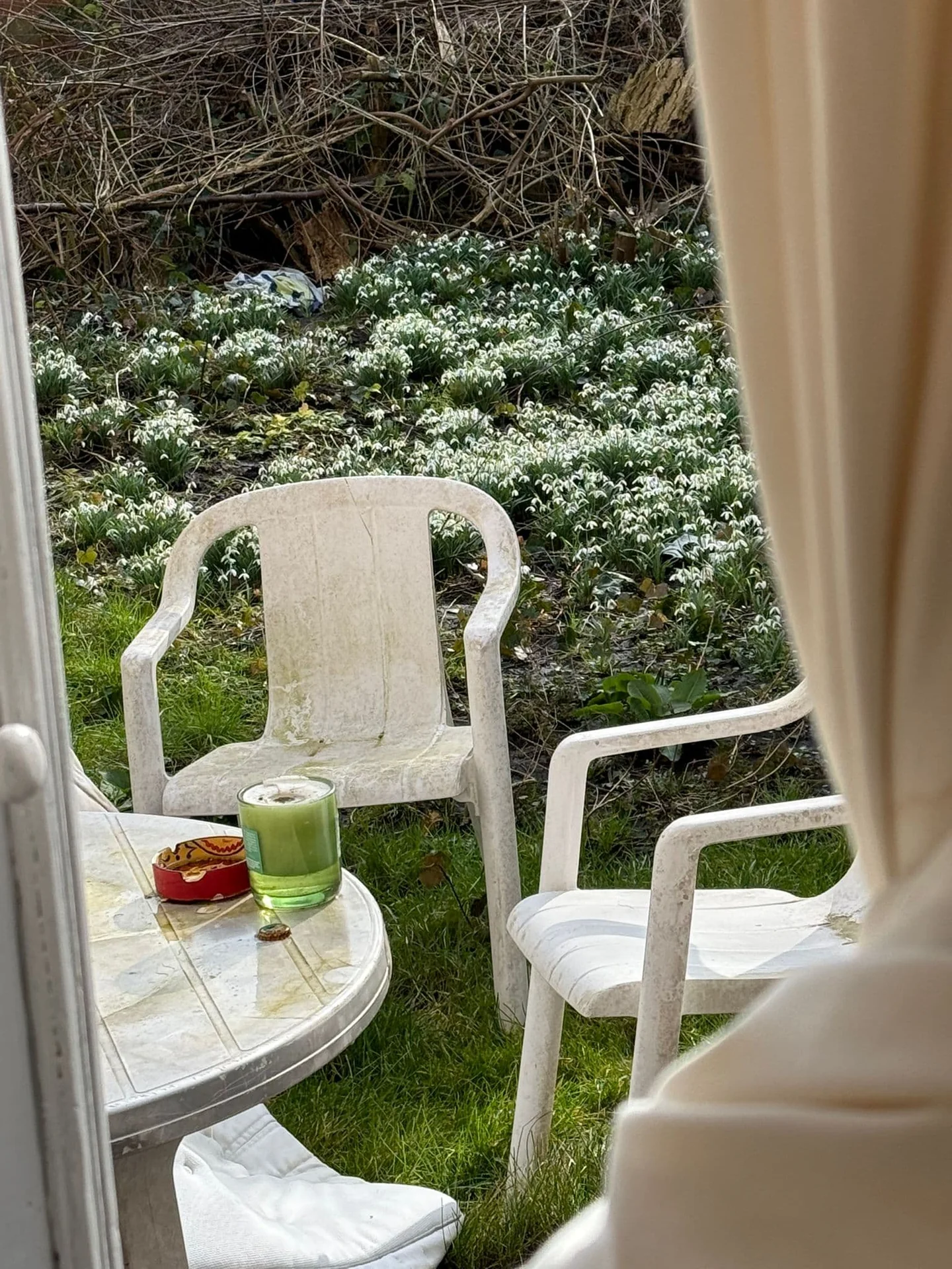 geblurde versie van de foto als achtergrond