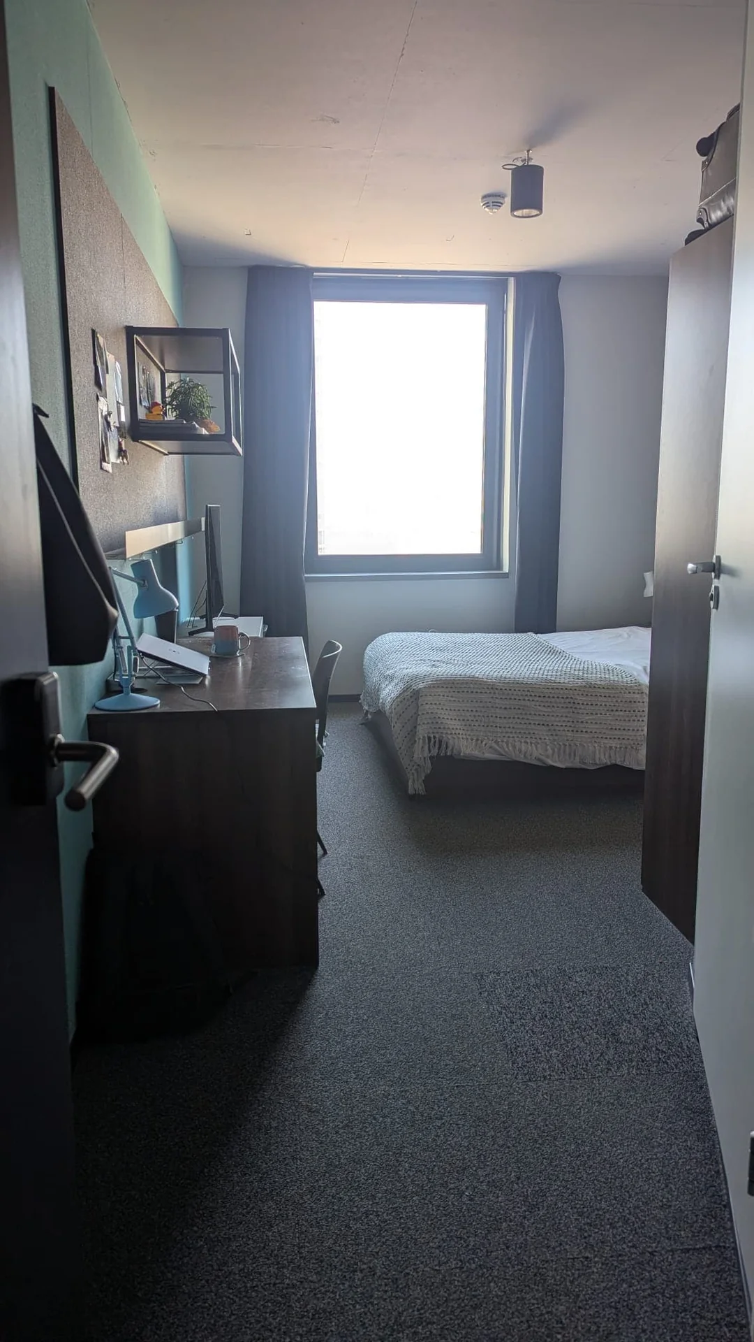 geblurde versie van de foto als achtergrond