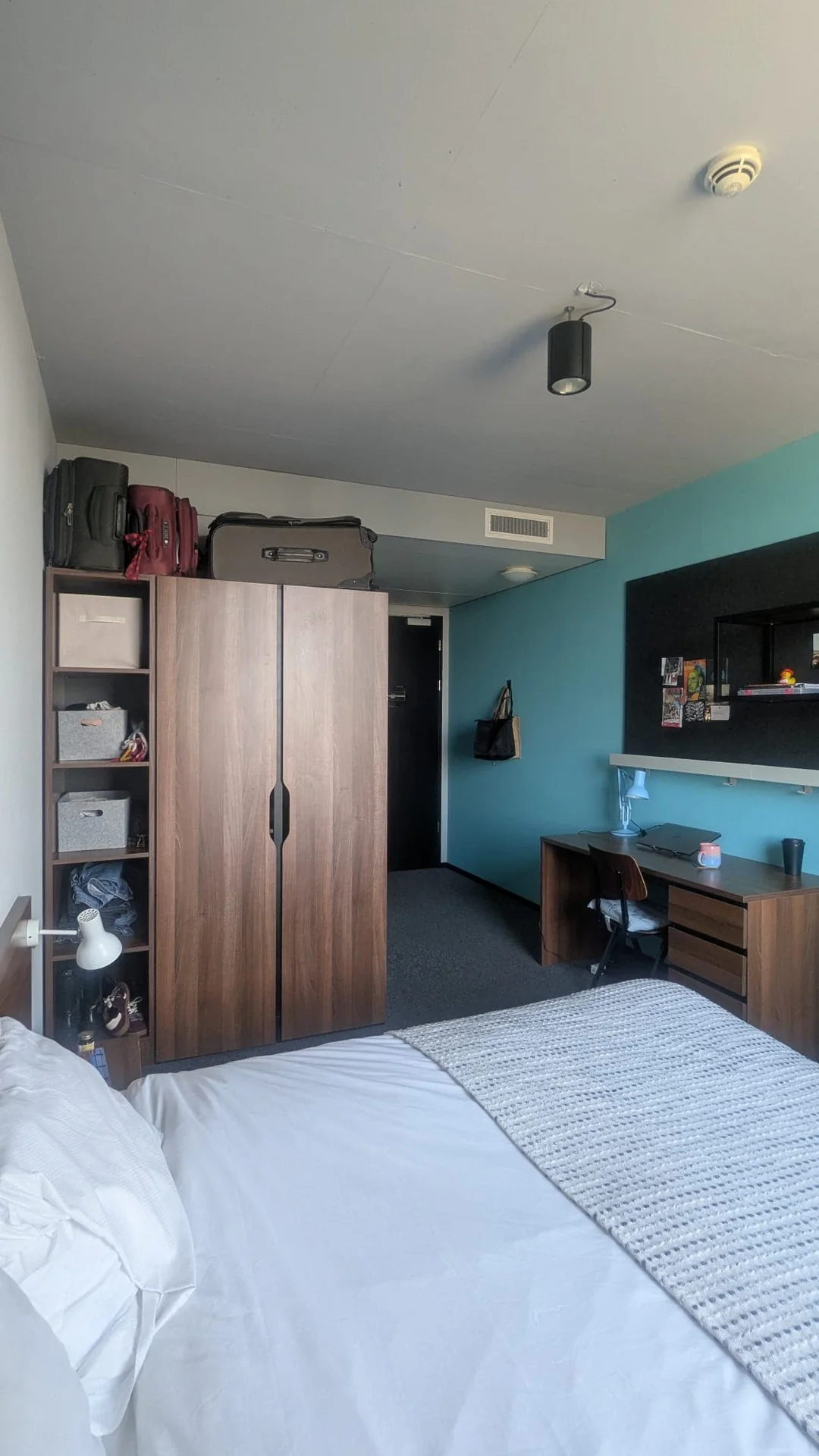 geblurde versie van de foto als achtergrond