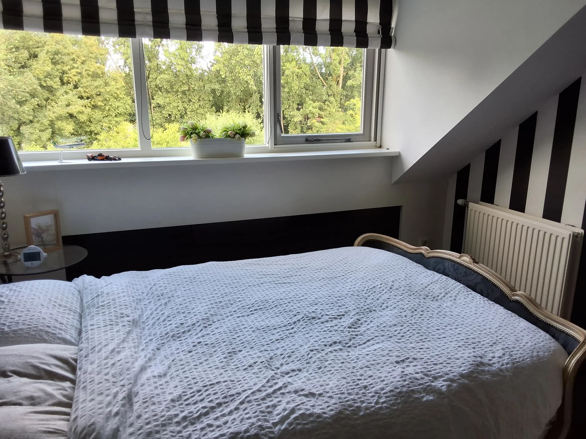 Foto van de Kamer gelegen aan de Soderblomstraat in Hoofddorp