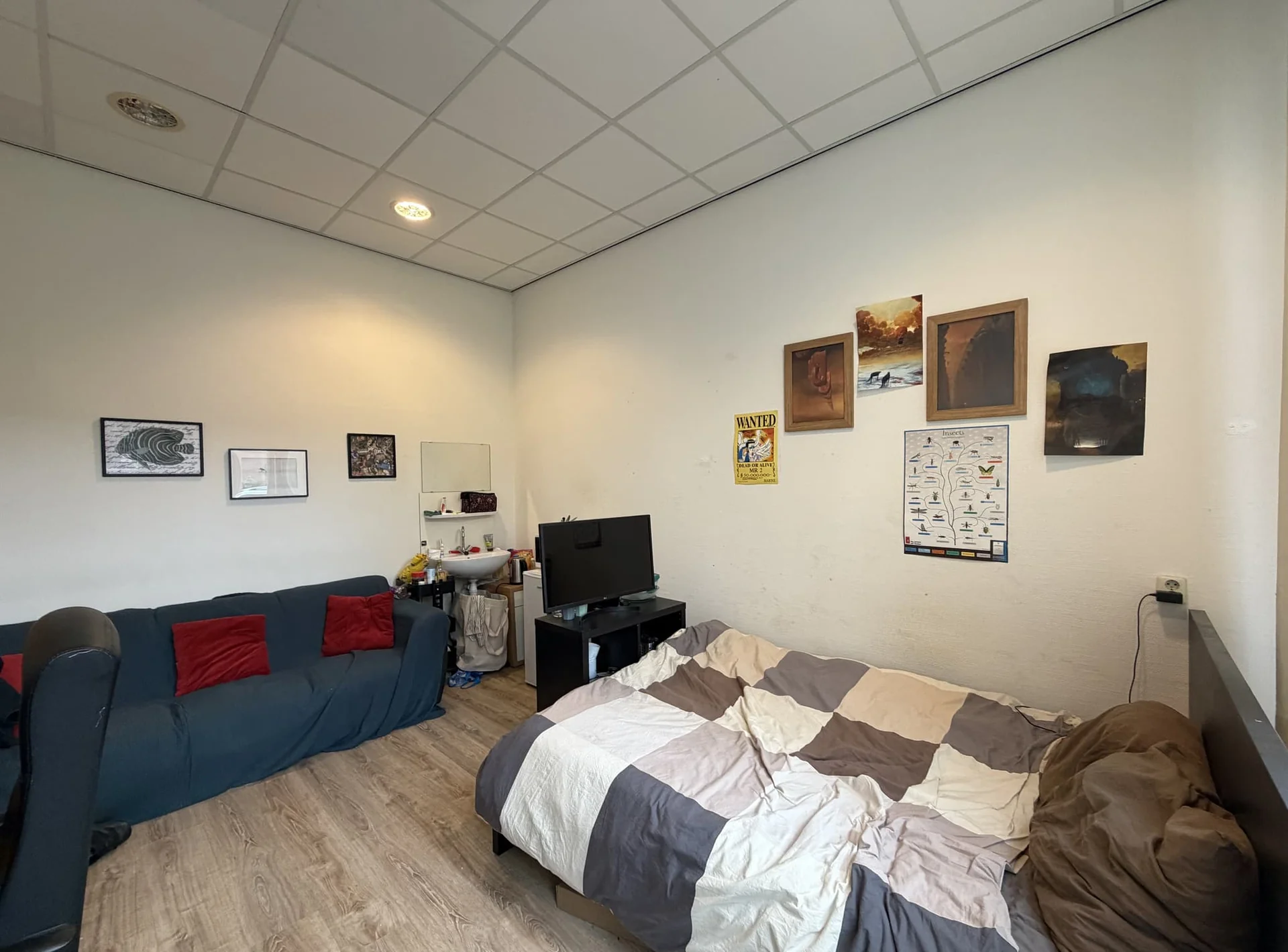 geblurde versie van de foto als achtergrond