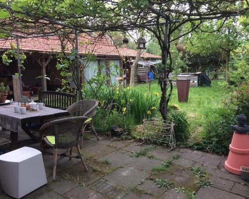 geblurde versie van de foto als achtergrond