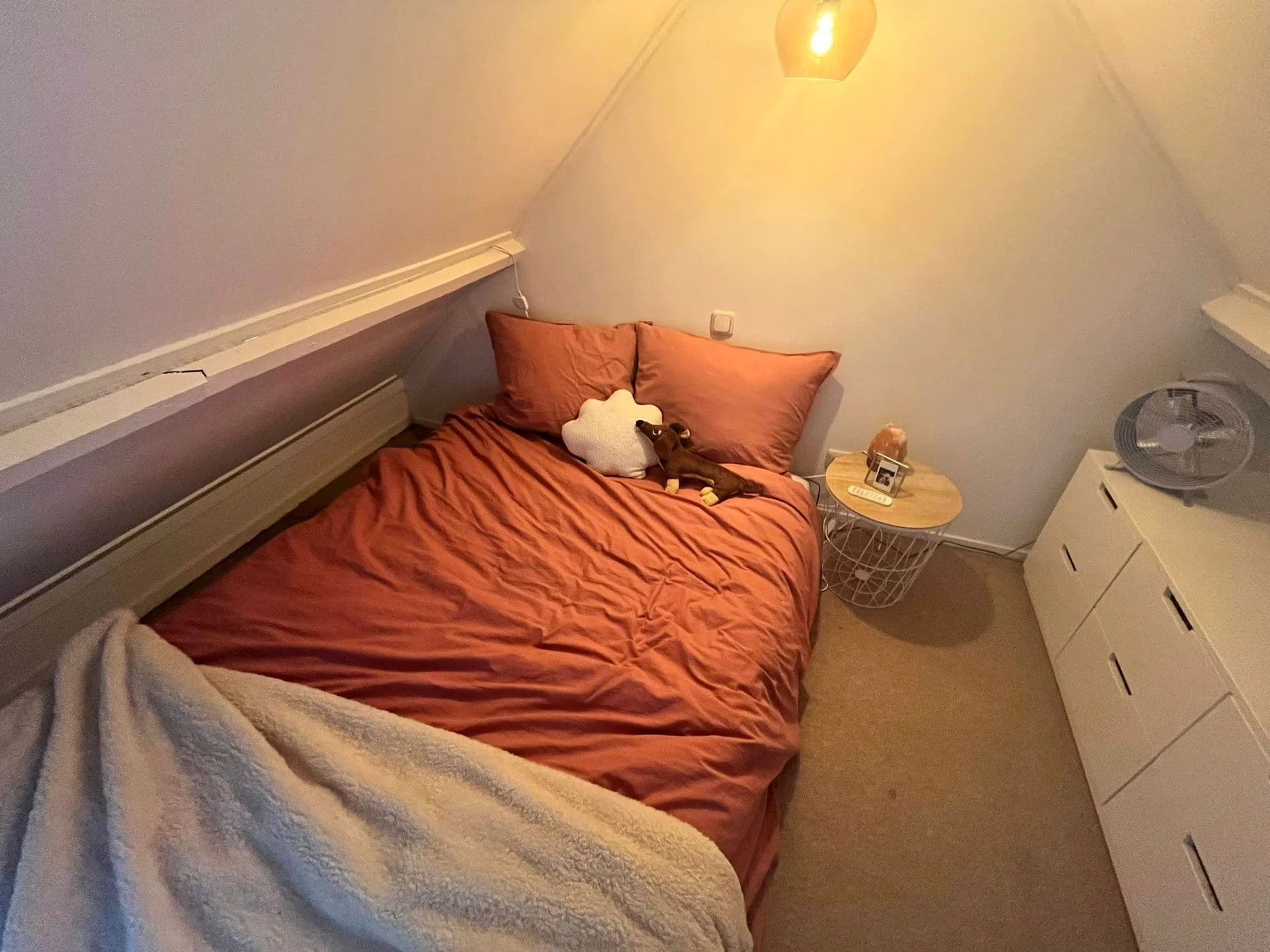 Foto van de Kamer gelegen aan de Dr. Nolensstraat in Tilburg