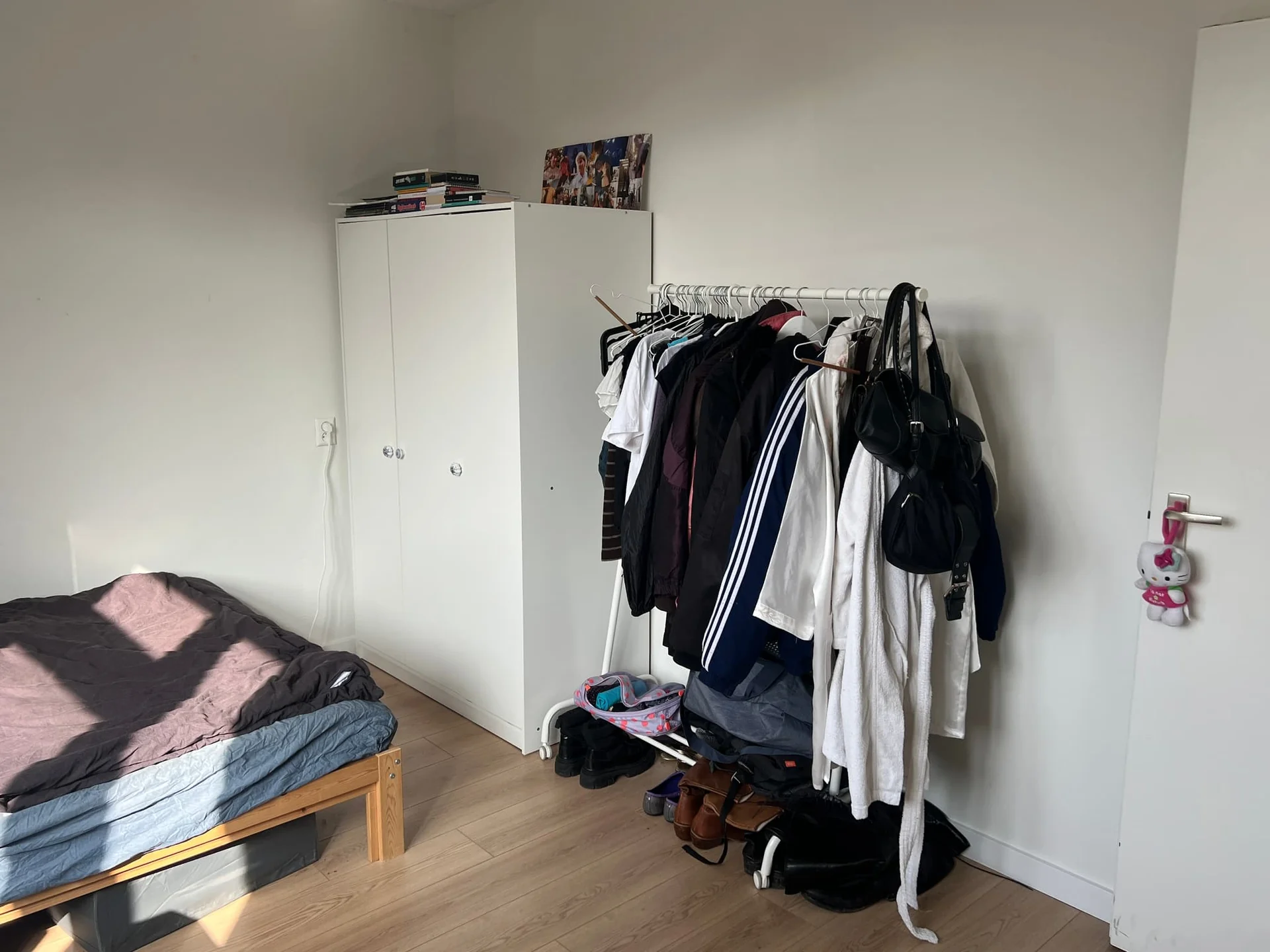 Foto van de Kamer gelegen aan de Pontanusstraat in Amsterdam