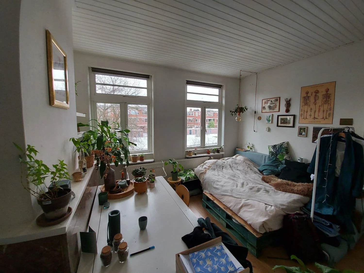 geblurde versie van de foto als achtergrond