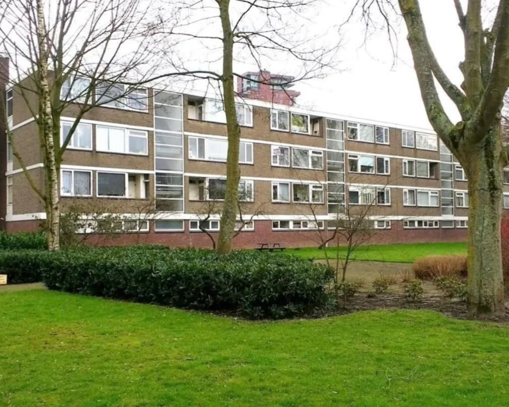 geblurde versie van de foto als achtergrond