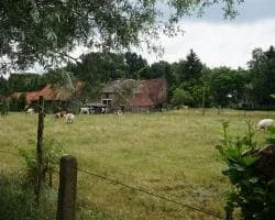 Foto van de Kamer gelegen aan de Hof van Putten in Bennekom