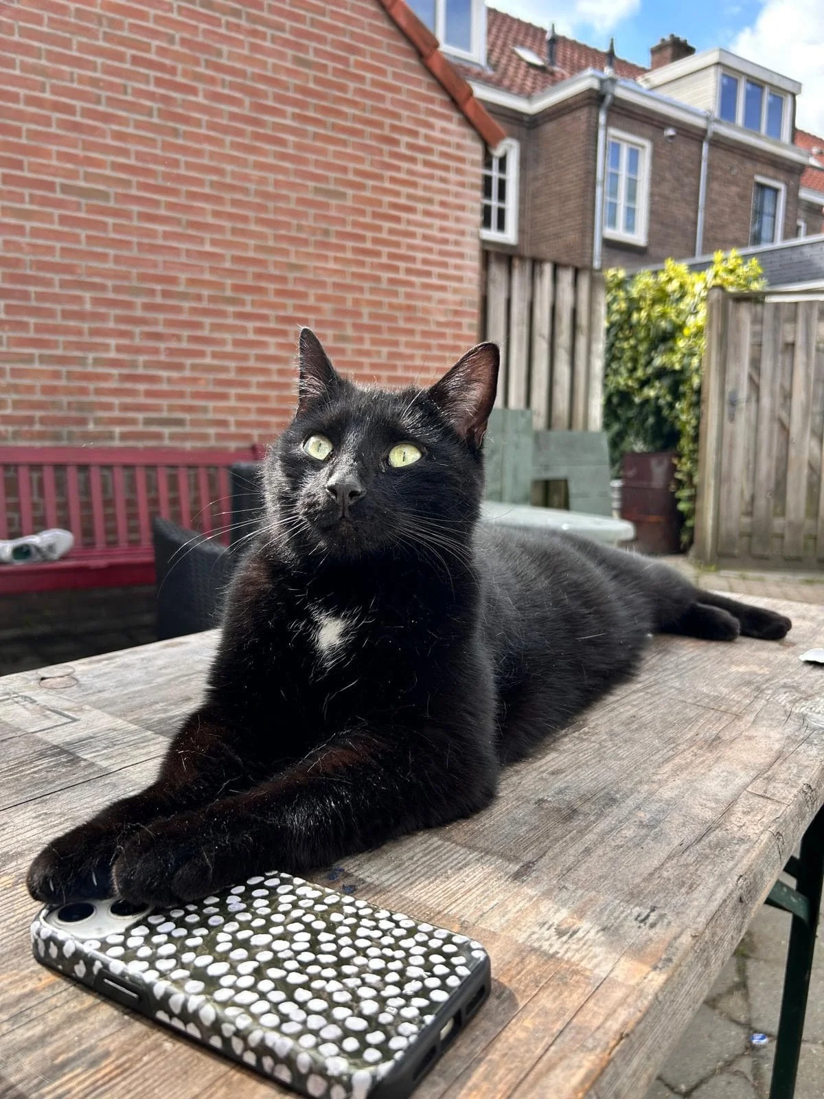 Foto van de Kamer gelegen aan de Kettingstraat in Eindhoven