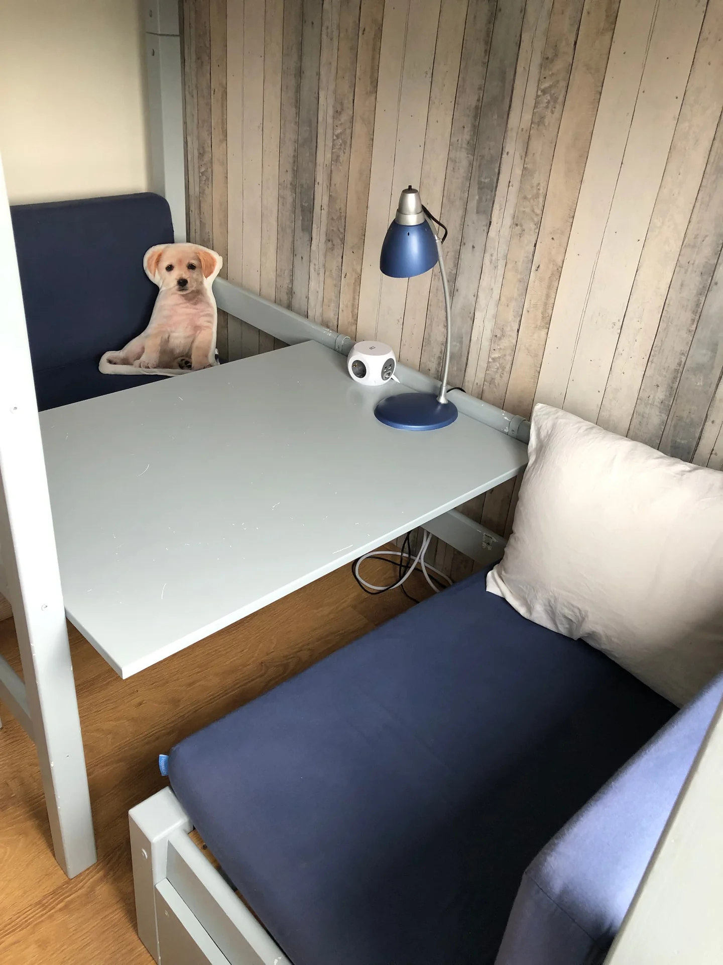 Foto van de Kamer gelegen aan de Elandweide in Nieuwegein