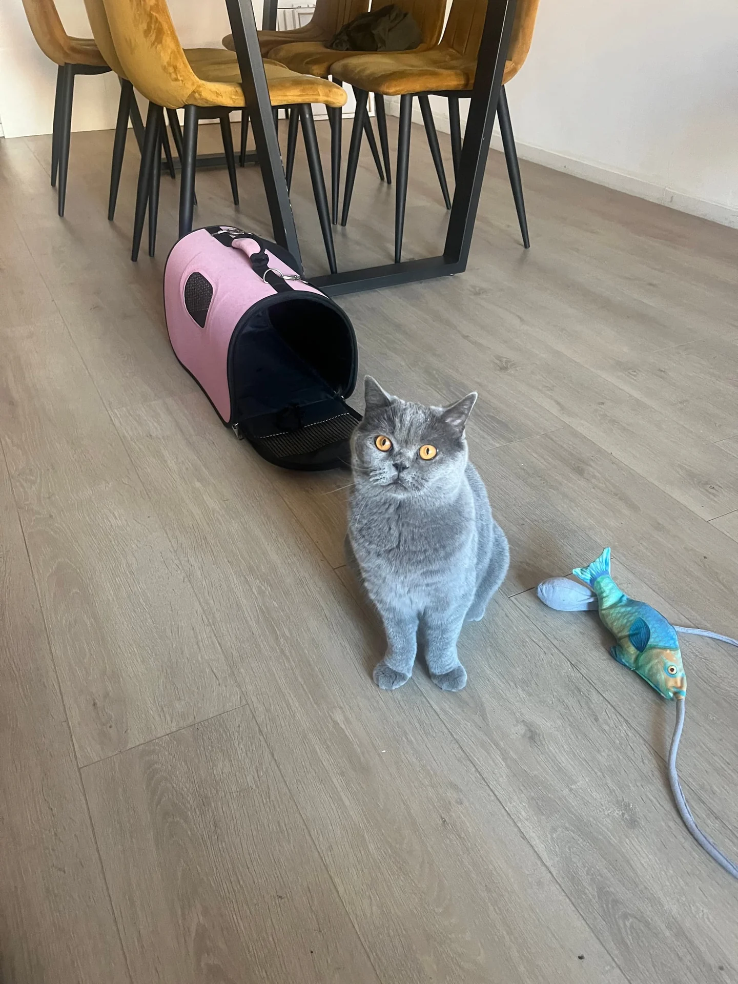 Foto van de Appartement gelegen aan de van Arembergelaan in Voorburg