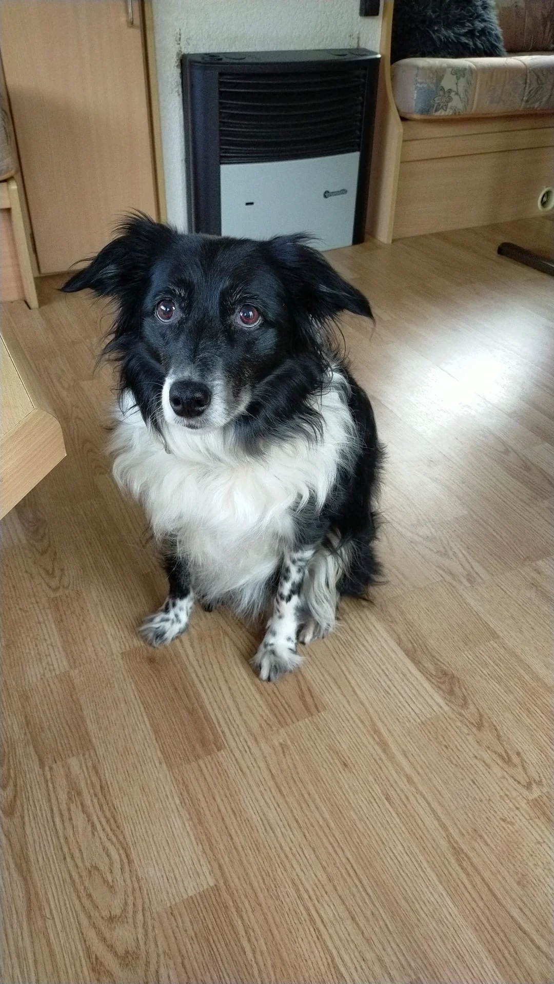 Foto van de Kamer gelegen aan de Fraterhuishof in Harderwijk