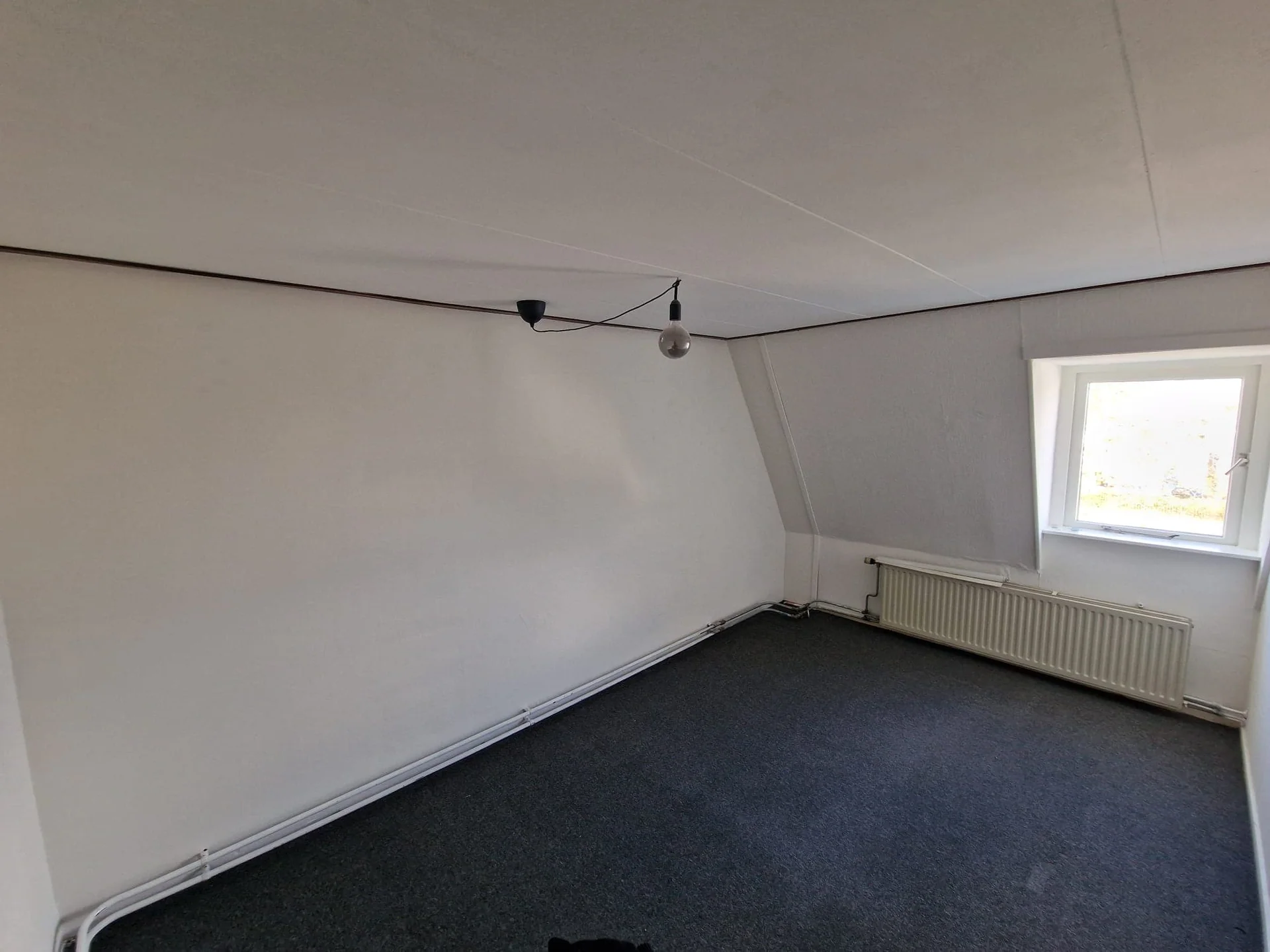 Foto van de Kamer gelegen aan de Brasserskade in Delft