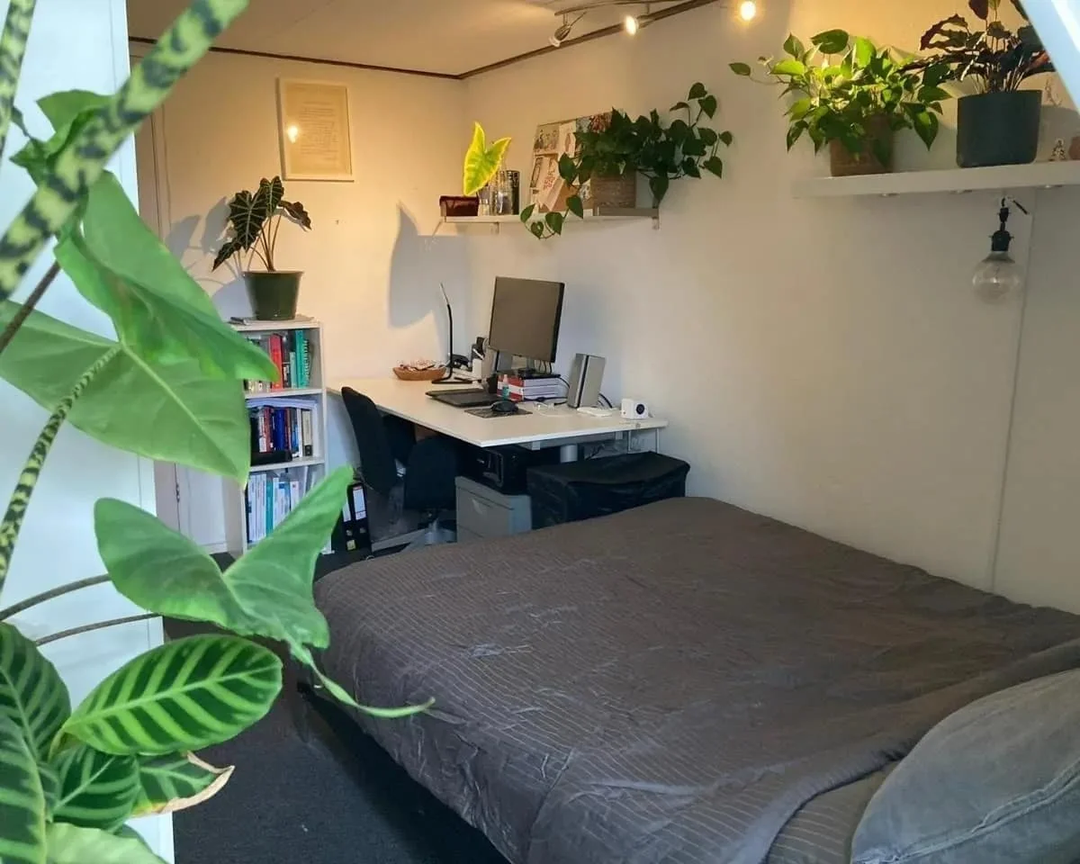 Foto van de Kamer gelegen aan de Brasserskade in Delft