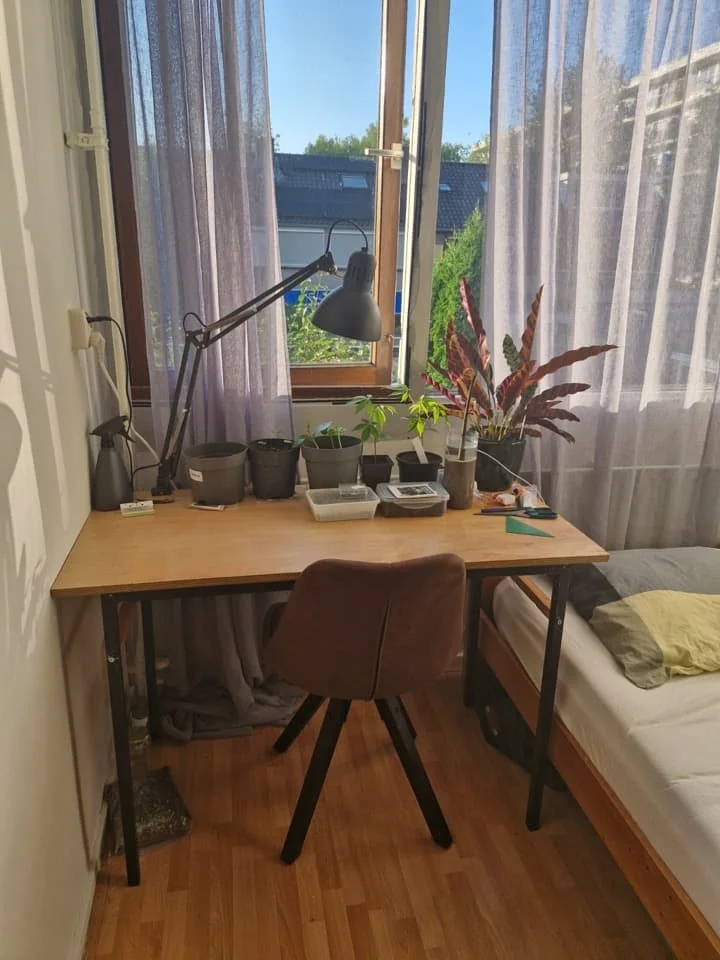 Foto van de Kamer gelegen aan de Loevesteinlaan in Arnhem