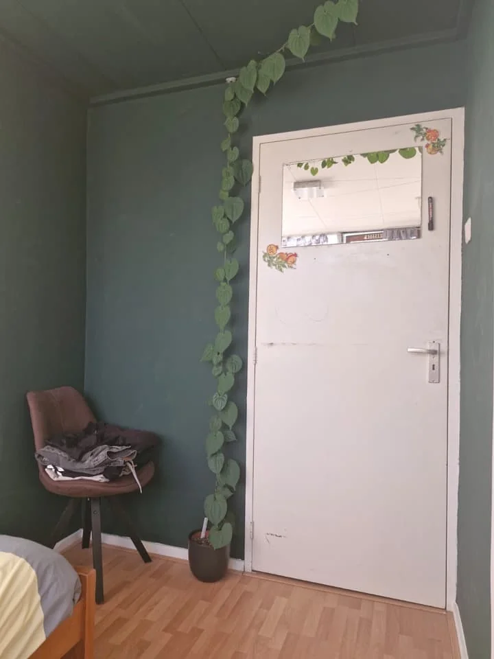 Foto van de Kamer gelegen aan de Loevesteinlaan in Arnhem