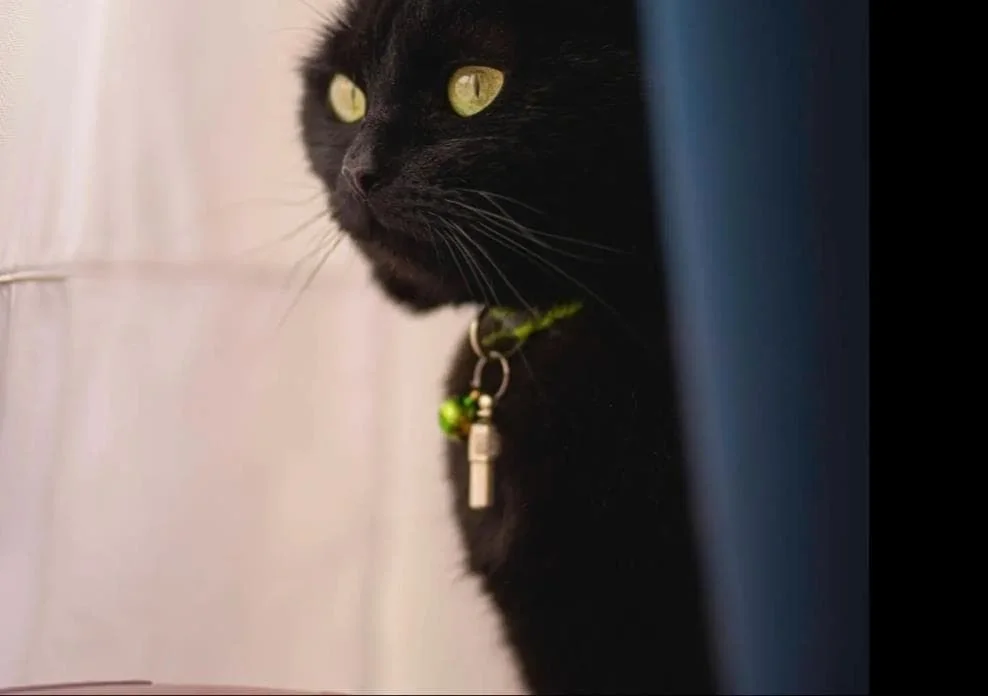 Foto van de Kamer gelegen aan de Lipperkerkstraat in Enschede