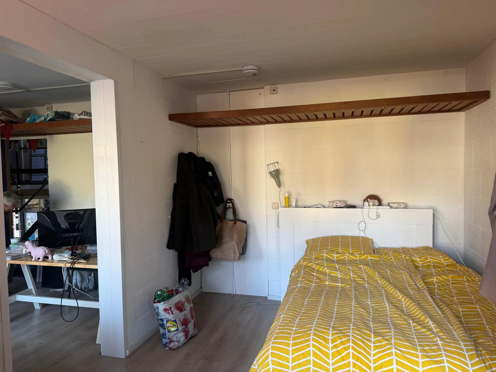 geblurde versie van de foto als achtergrond