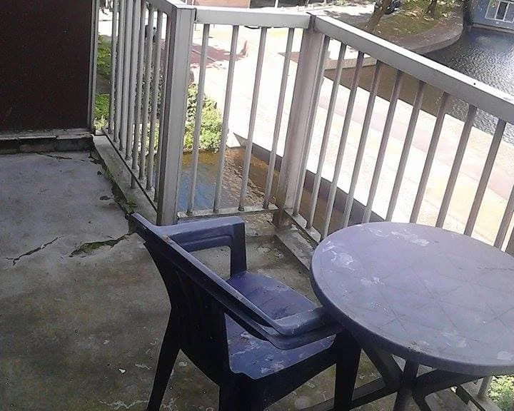 geblurde versie van de foto als achtergrond