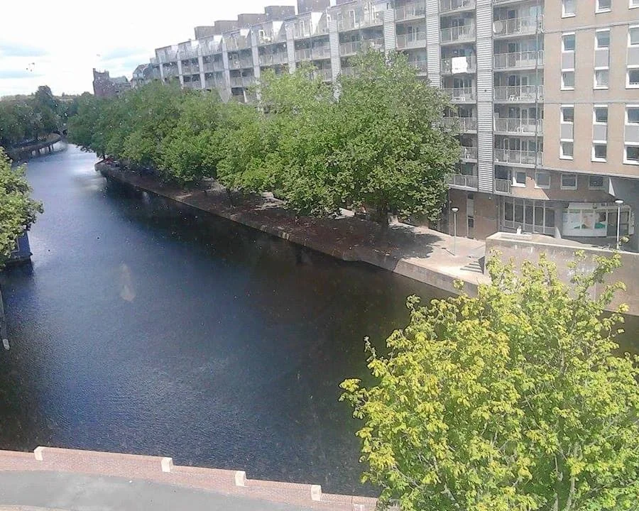 geblurde versie van de foto als achtergrond