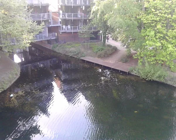 geblurde versie van de foto als achtergrond