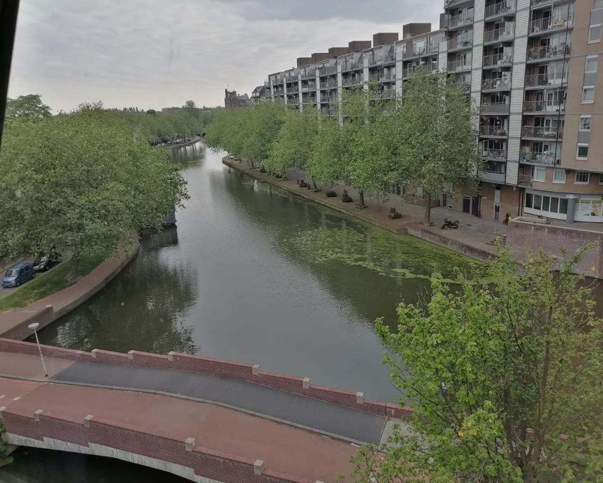 geblurde versie van de foto als achtergrond