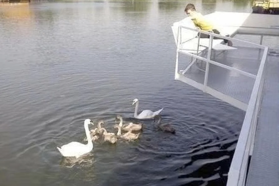 Foto van de Appartement gelegen aan de Stuwweg in Maastricht
