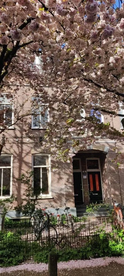 Foto van de Kamer gelegen aan de Rouwenhofstraat in Wageningen