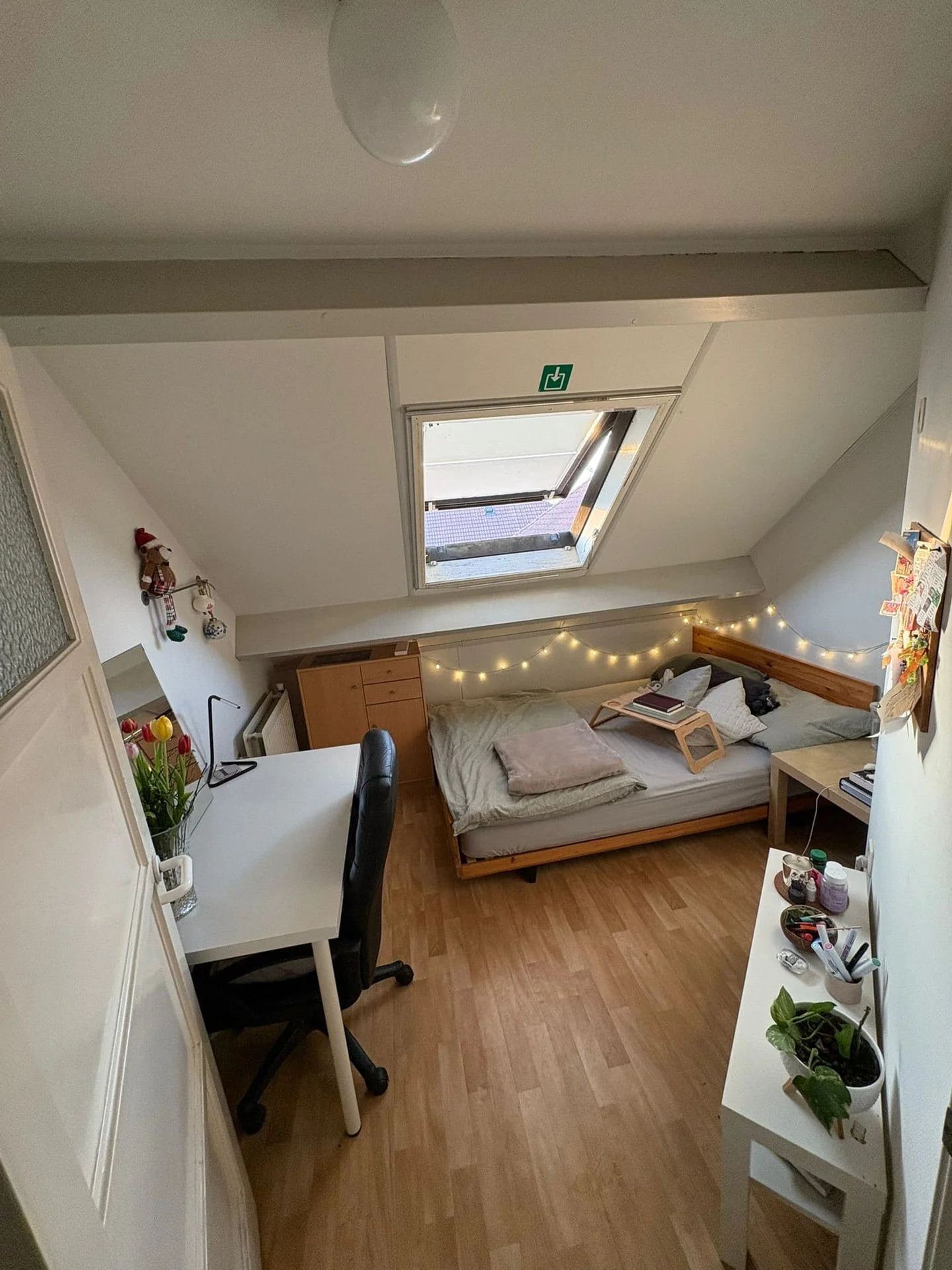 geblurde versie van de foto als achtergrond