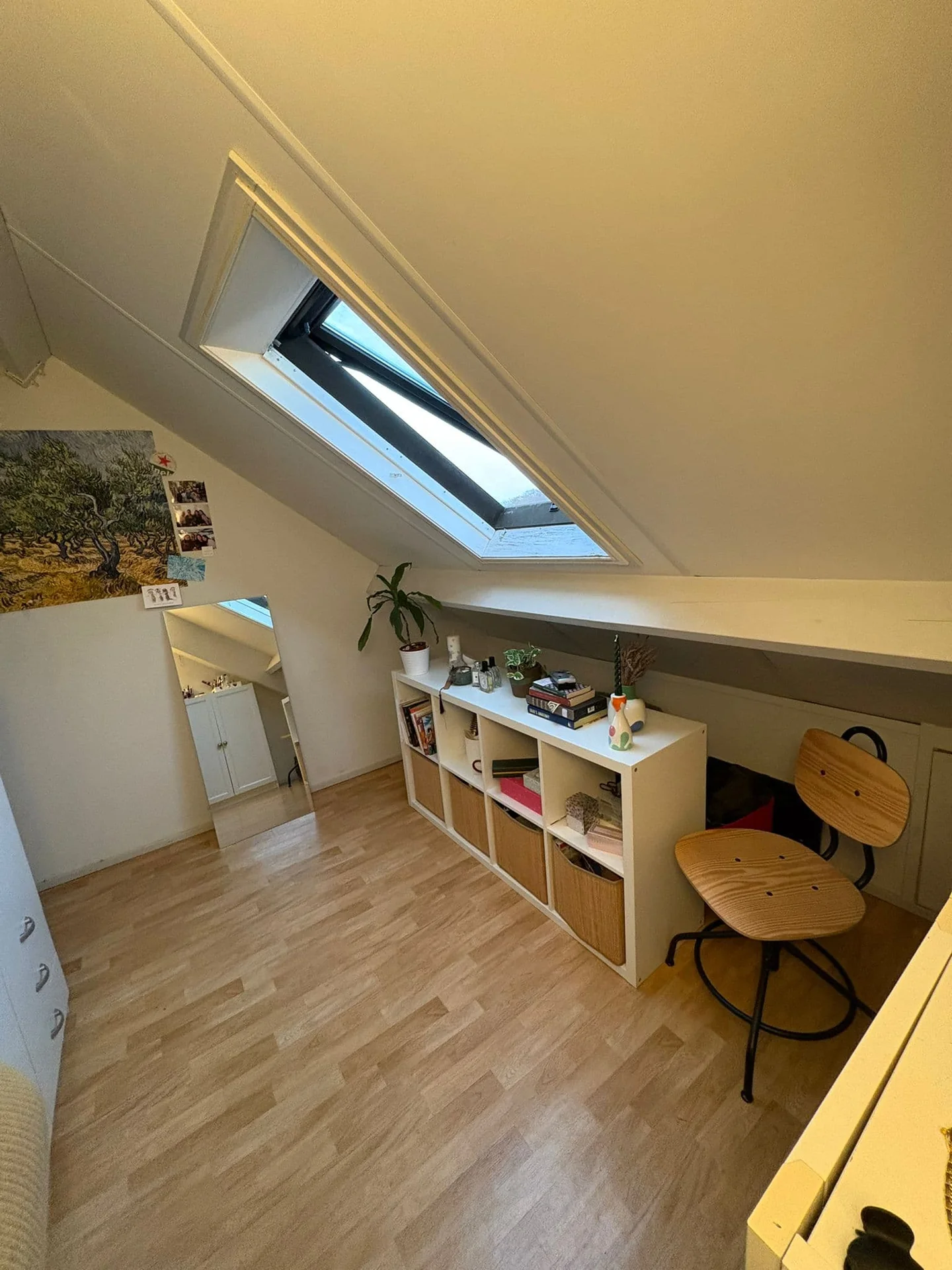 geblurde versie van de foto als achtergrond