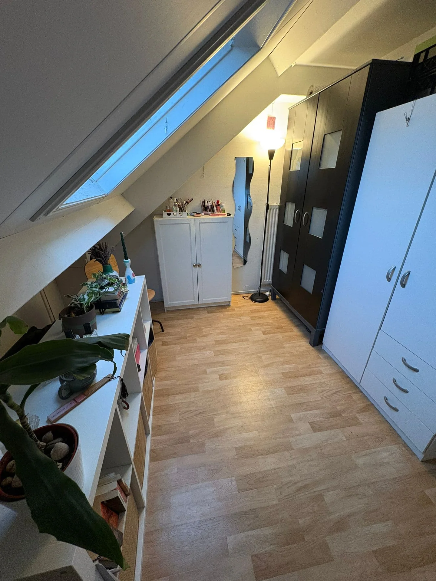 geblurde versie van de foto als achtergrond