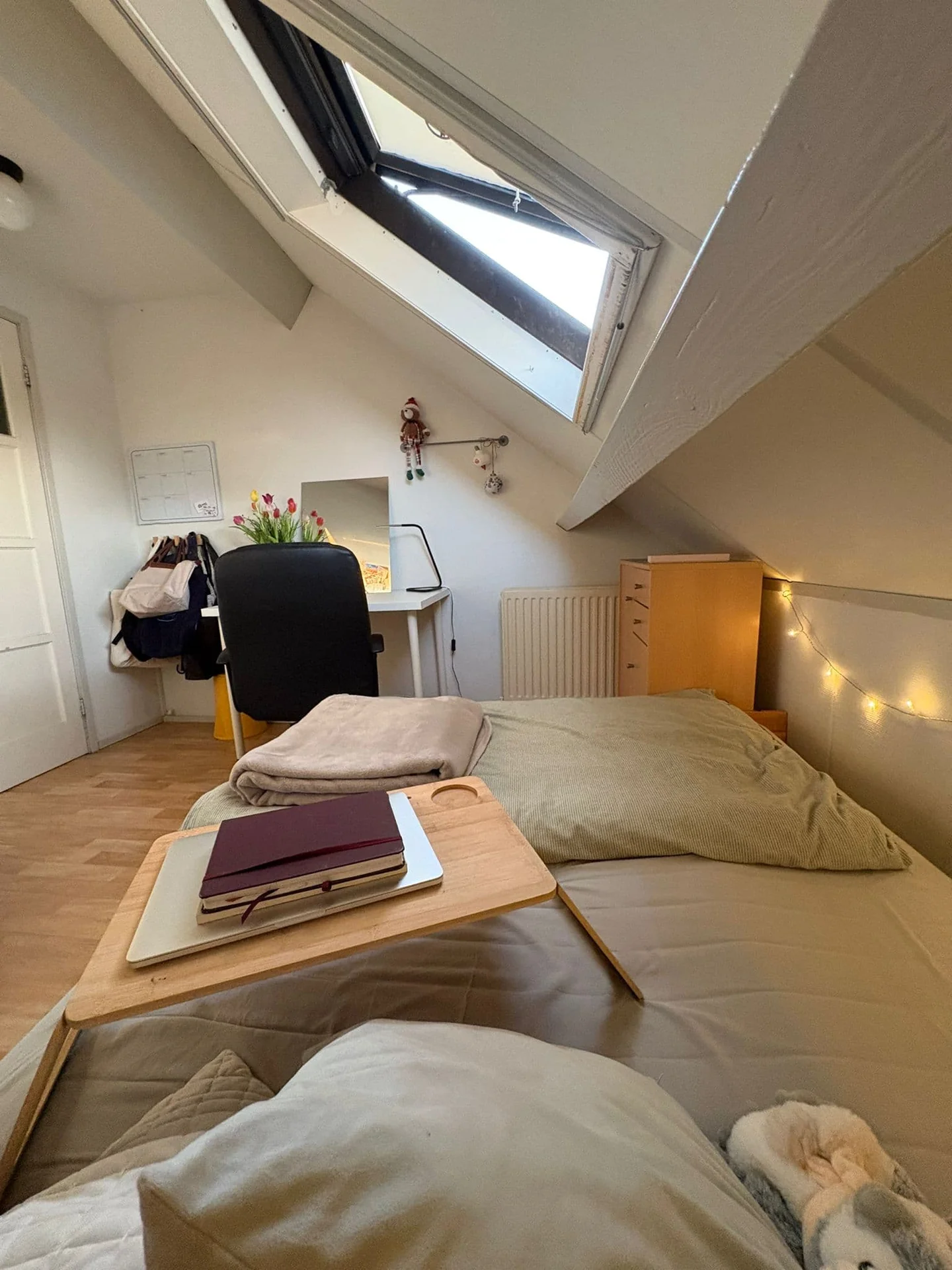 Foto van de Kamer gelegen aan de Semmelinkstraat in Nijmegen