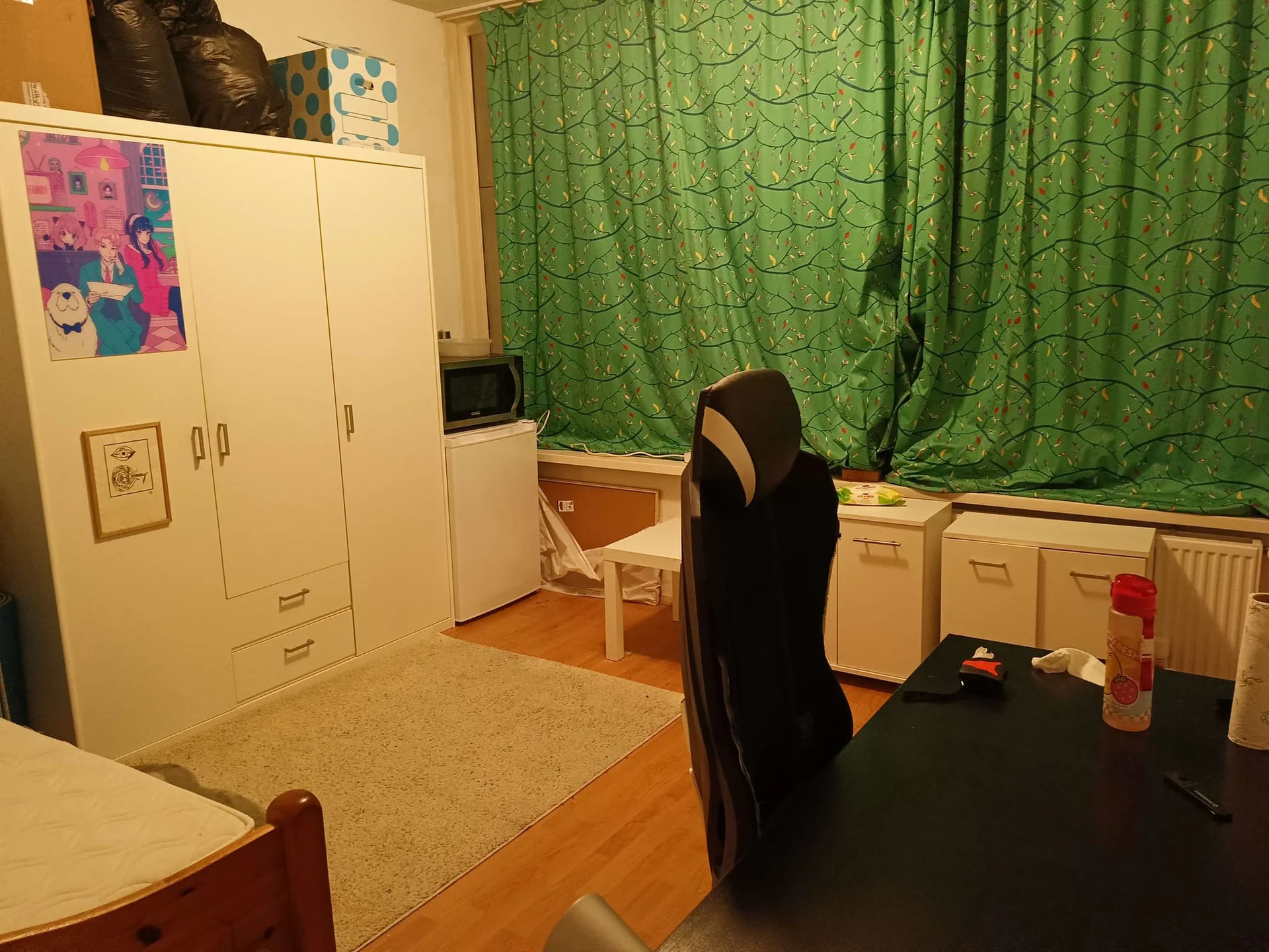 geblurde versie van de foto als achtergrond