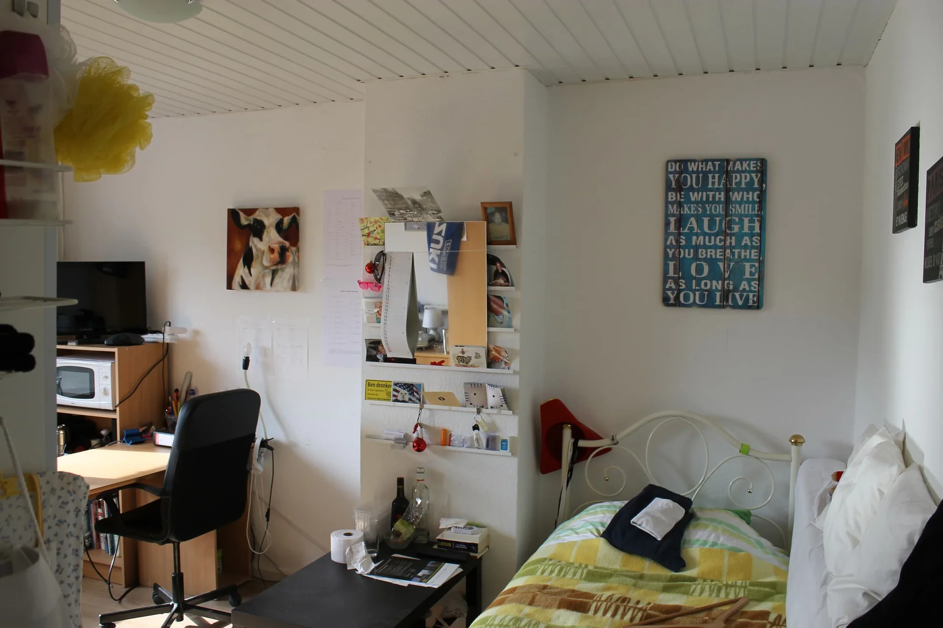 geblurde versie van de foto als achtergrond