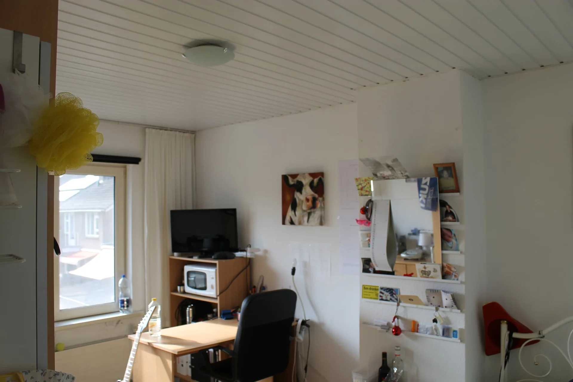 geblurde versie van de foto als achtergrond