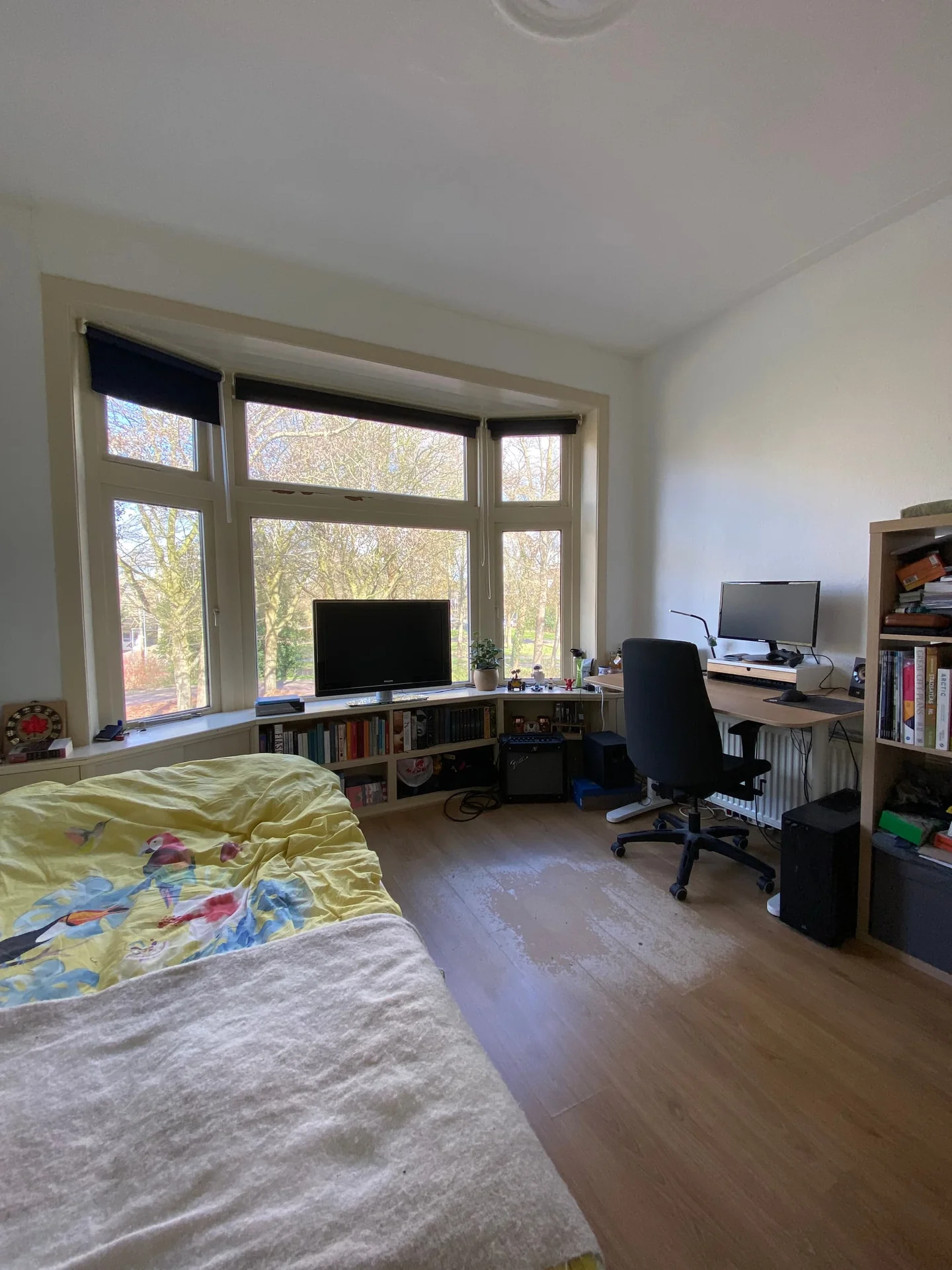 Foto van de Kamer gelegen aan de Albertine Agnesstraat in Groningen