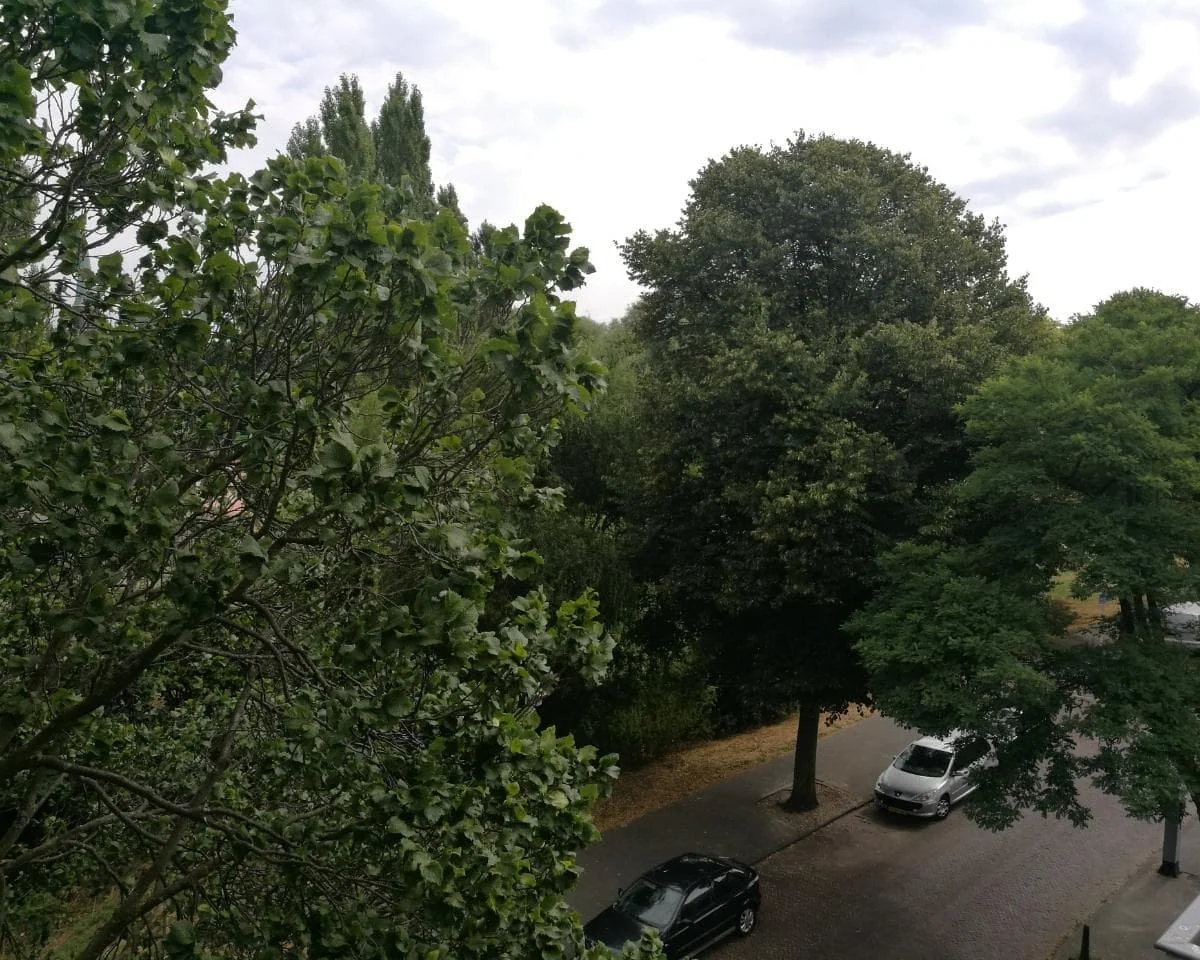 Foto van de Studio gelegen aan de Paets van Troostwijkstraat in Den Haag