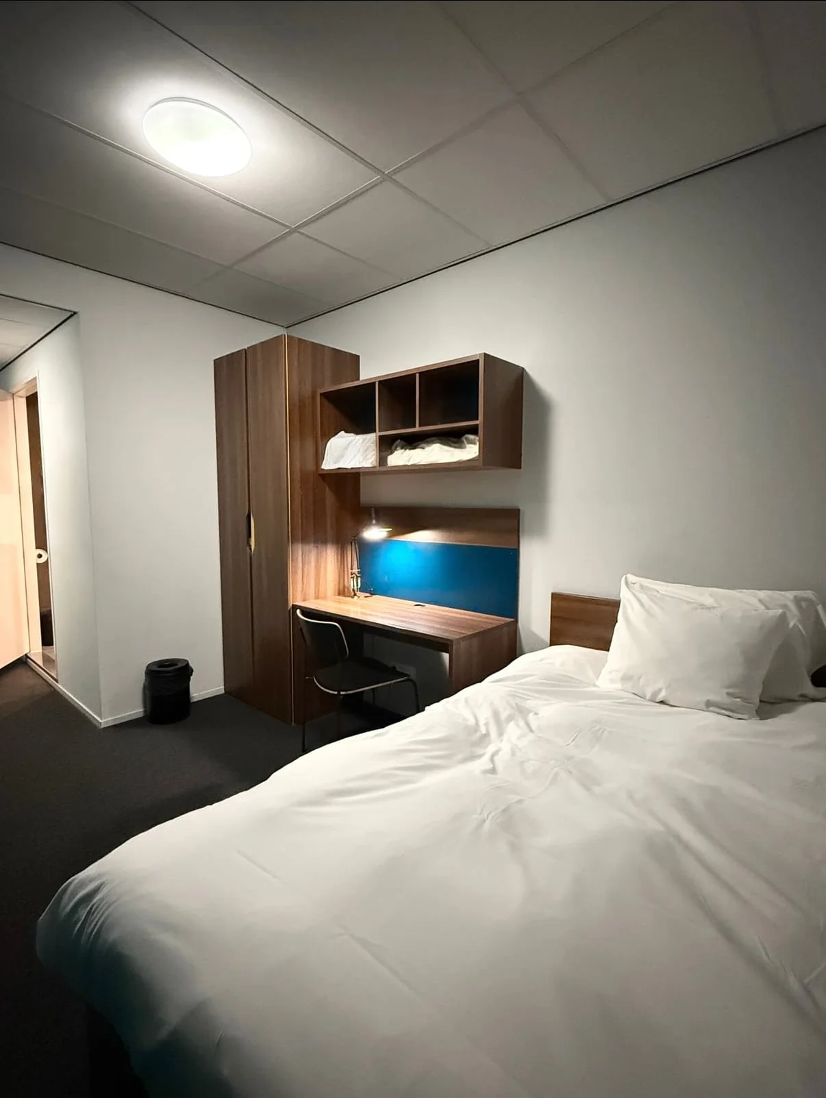 geblurde versie van de foto als achtergrond