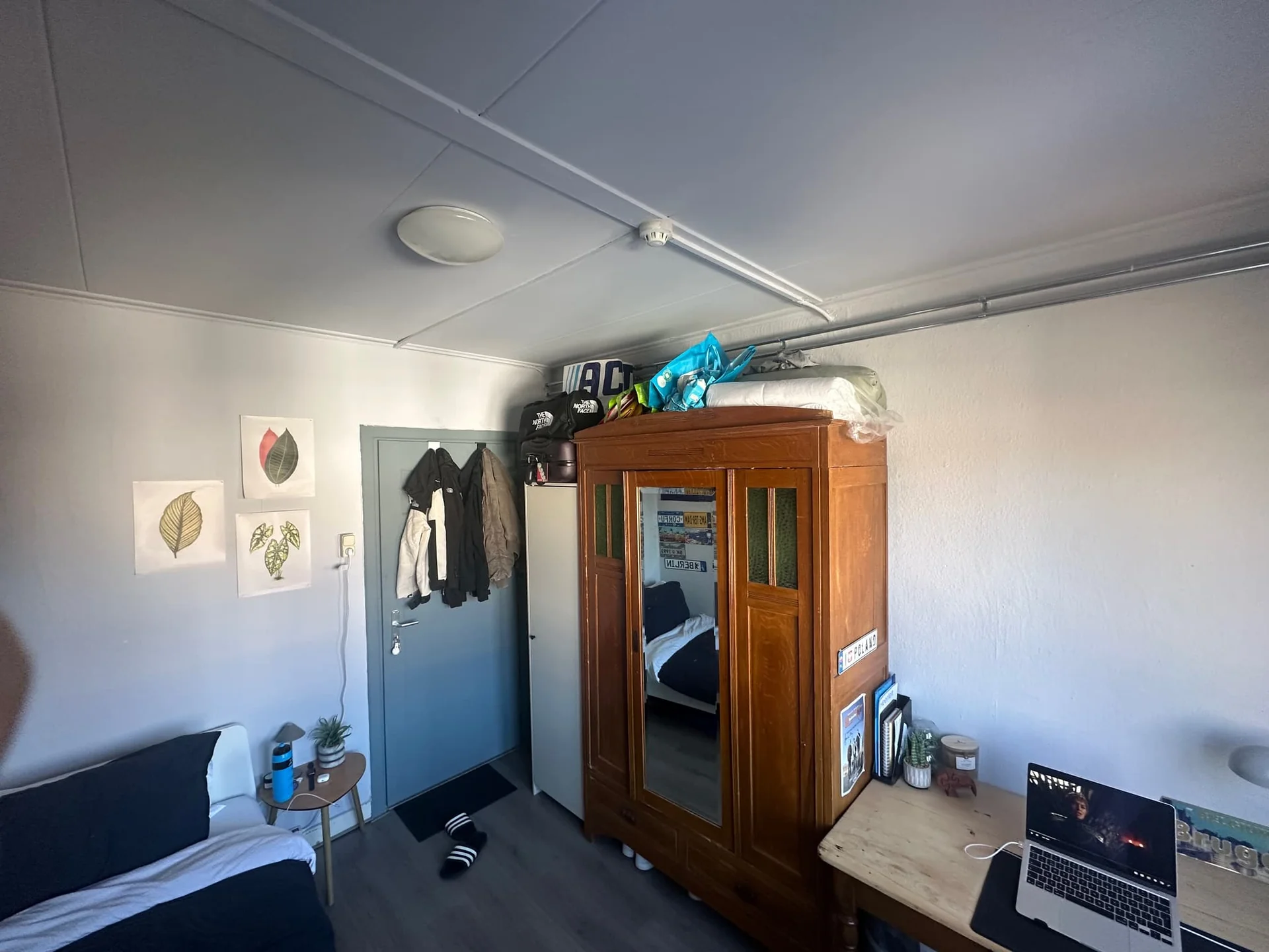 geblurde versie van de foto als achtergrond