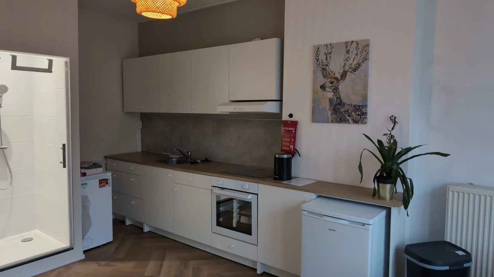 geblurde versie van de foto als achtergrond