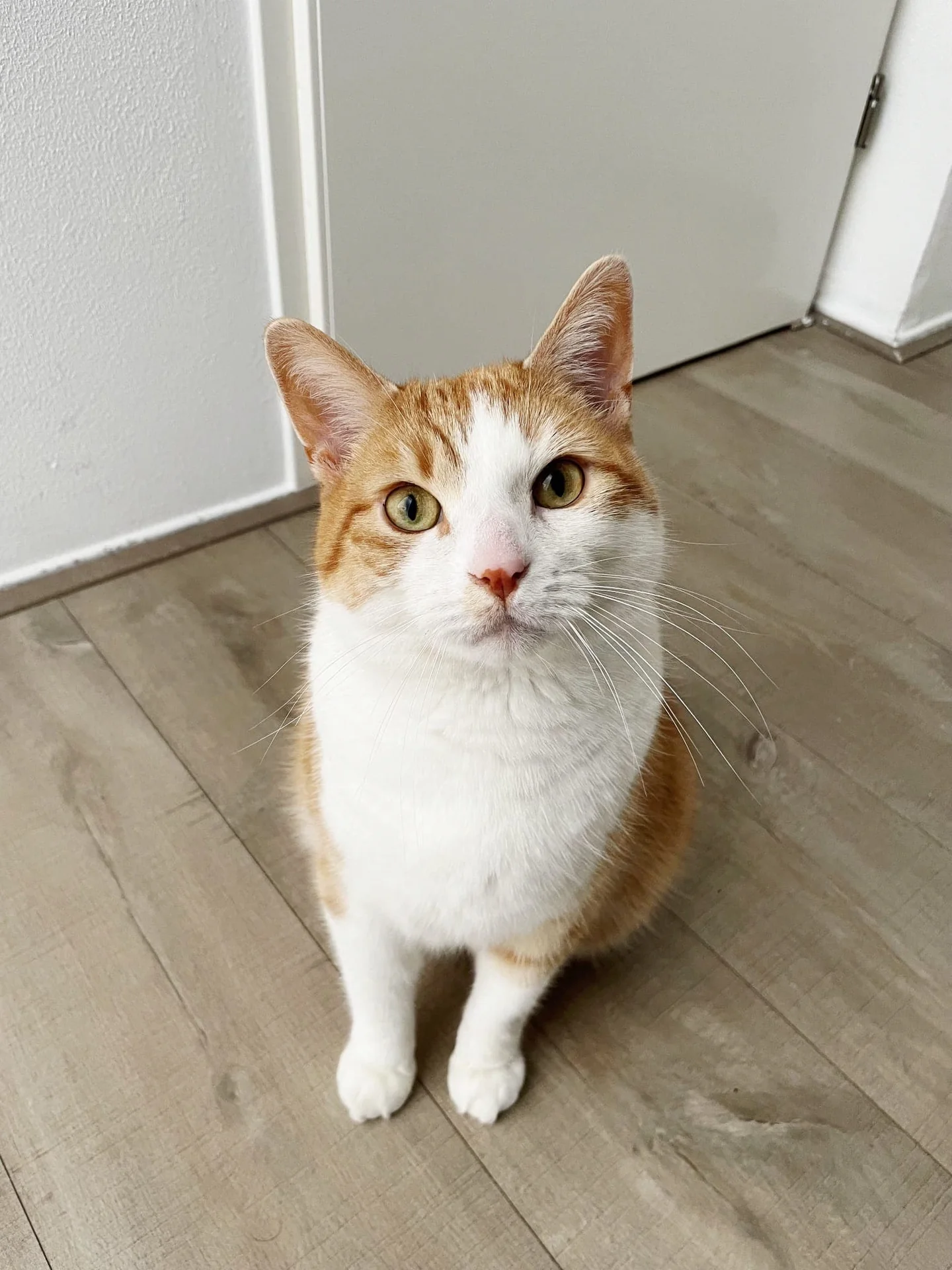 Foto van de Kamer gelegen aan de Leuvenstraat in Amsterdam