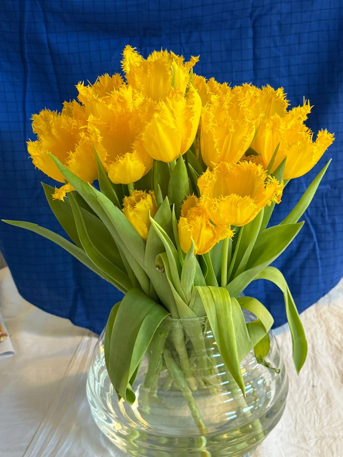 Foto van de Kamer gelegen aan de Tweede Willemstraat in Groningen