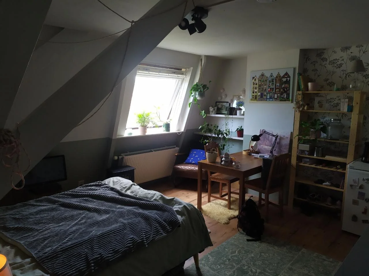Foto van de Kamer gelegen aan de Helper Westsingel in Groningen