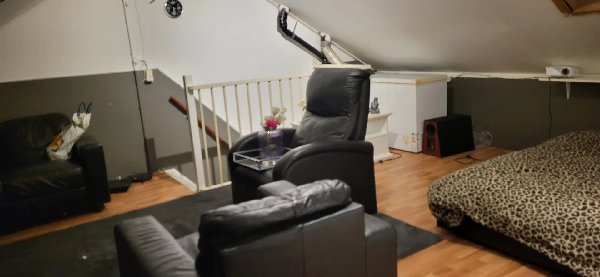 Foto van de Kamer gelegen aan de Lingestraat in Utrecht